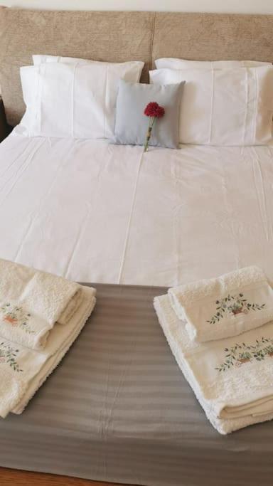 Amazing Lodge By The Ocean - Fully Equipped! Ericeira Ngoại thất bức ảnh