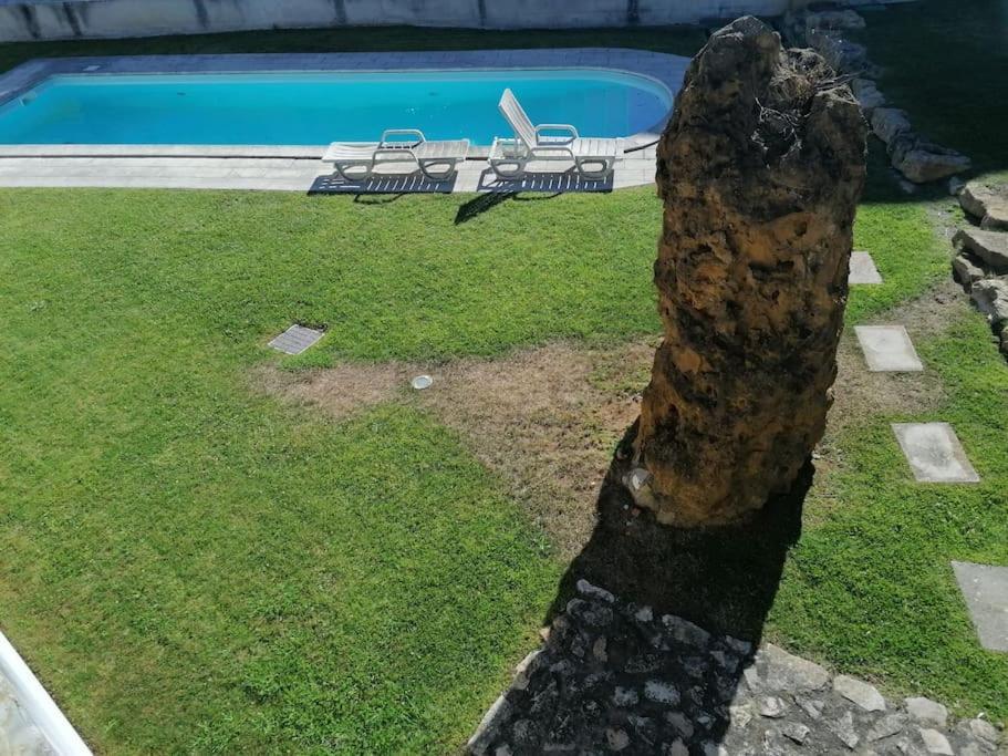 Amazing Lodge By The Ocean - Fully Equipped! Ericeira Ngoại thất bức ảnh